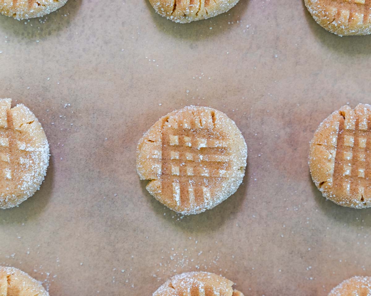Fork marks in unbaked home made peanut butter cookies.